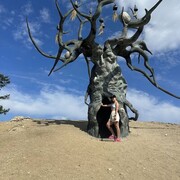 ���������� �������, ���� ������� ���������, 31 ���, ������������ ��� ���������