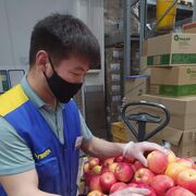 ���������� �����-���������, ���� ������� ����, 28 ���, ������������ ��� ������, ����� � ���������