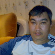  ,  ERBOL, 54