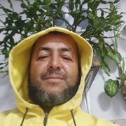 ���������� ������, ���� ������� Hojaev, 44 ����, ������������ ��� ������, ����� � ���������