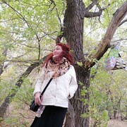  ,   , 54 ,   c , 