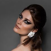 ���������� �����-���������, ���� ������� ���, 27 ���, ������������ ��� ����� � ���������