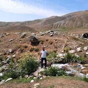 ���������� �������, ���� ������� �����, 34 ����, ������������ ��� ������, ����� � ���������, ���������