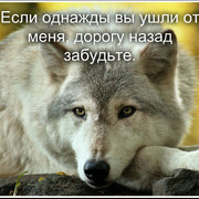  --,   , 39 ,   ,   , c 