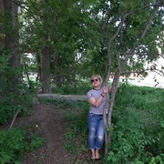  ,   , 59 ,   ,   