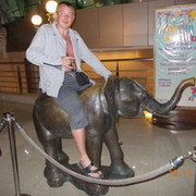 ���������� ��������, ���� ������� ����, 45 ���, ������������ ��� ����� � ���������, c�������� ���������