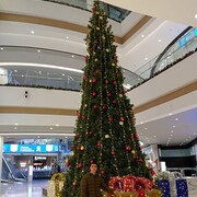 ���������� ������, ���� ����� ��������, 24 ����, ������������ ��� ������, ����� � ���������