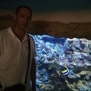  ,   A, 55 ,     , c 