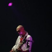 ���������� �����-���������, ���� ������� Danni, 40 ���, ������������ ��� ������