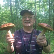 ���������� �����-���������, ���� ������� ���������, 71 ���, ������������ ��� ������, ����� � ���������, c�������� ���������