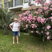  ,   , 60 ,     , 