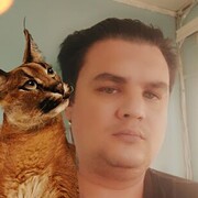  ,  , 37