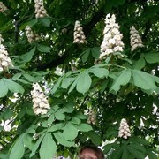  ,   , 53 ,   ,   , c 