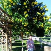 ���������� ������, ���� ������� ������, 56 ���, ������������ ��� ������, ����� � ���������, c�������� ���������