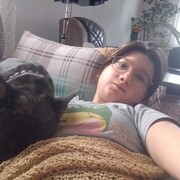 ���������� ����, ��������