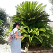  ,   , 43 ,     , c 