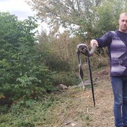 ���������� ��������������, ���� ������� �������, 36 ���, ������������ ��� ������, ����� � ���������, c�������� ���������