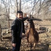 ���������� ������, ���� ������� �����, 32 ����, ������������ ��� ������