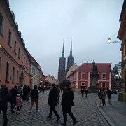 Jelcz,  , 29