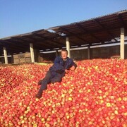 ���������� ��������, ���� ������� �����, 45 ���, ������������ ��� ������, ����� � ���������