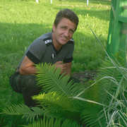  ,   , 52 ,  