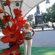  ,   , 65 ,   ,   