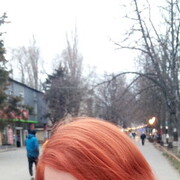  ,   , 33 ,  