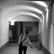 ���������� ������, ���� ����� ����, 20 ���, ������������ ��� ������, ����� � ���������