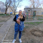 ���������� ���������, ���� ������� �������, 55 ���, ������������ ��� c�������� ���������