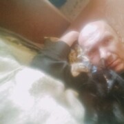  -,   , 52 ,     , c , 