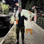 ���������� �������, ���� ������� �������, 29 ���, ������������ 