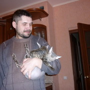 ���������� �������������, ���� ������� �����, 47 ���, ������������ ��� ����� � ���������, c�������� ���������