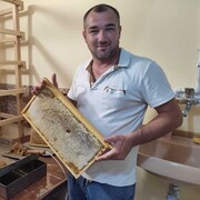 ���������� ���������, ������� �����, 35