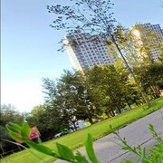 ���������� ������, ���� ������� ����, 27 ���, ������������ ��� ����� � ���������, c�������� ���������