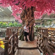 ���������� �����������, ���� ������� �������, 40 ���, ������������ ��� ������, ����� � ���������, ���������