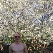 ���������� �����, ���� ������� ���������, 38 ���, ������������ ��� ������, ����� � ���������, c�������� ���������