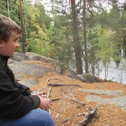 ���������� �����-���������, ���� ������� ����, 33 ����, ������������ ��� c�������� ���������