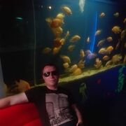 ���������� �����, ���� ������� ����, 39 ���, ������������ ��� c�������� ���������