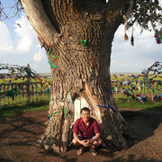  -,   Aldin, 40 ,   ,   , c 