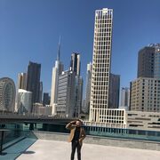 ���������� ������, ���� ������� Adam, 36 ���, ������������ ��� ������, ����� � ���������, c�������� ���������