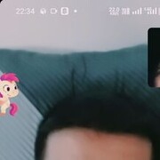 ���������� ������, ���� ������� Habibi, 31 ���, ������������ ��� ������, ����� � ���������, c�������� ���������