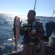 ���������� ��������, ������� ����, 43