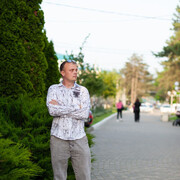  ,   , 41 ,  