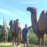  -,   Andrey, 43 ,   ,   , c 