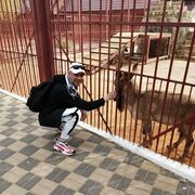 ���������� ������, ���� ������� �����, 44 ����, ������������ ��� ������, ����� � ���������