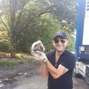 ���������� ��������, ���� ������� �����, 54 ����, ������������ ��� ������