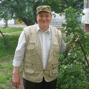  ,   , 66 ,   c , 