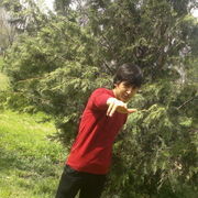  -,   Ilya123, 33 ,   