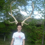 ���������� ���������, ���� ������� ����, 42 ����, ������������ 