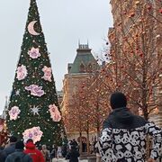 ���������� �����, ���� ����� ����, 23 ����, ������������ ��� ������, ����� � ���������